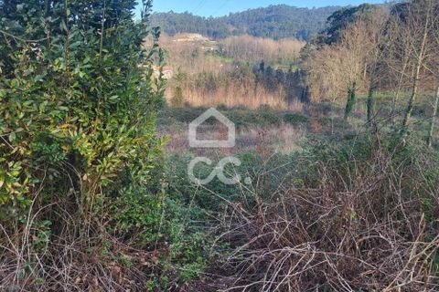Helårsgrund i Fafe, Braga, Fafe - € 25.000 | Ref: 336/T/01654 - foto 21