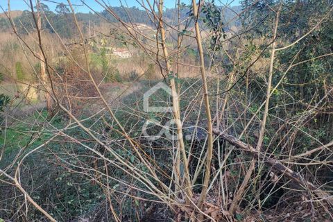Helårsgrund i Fafe, Braga, Fafe - € 25.000 | Ref: 336/T/01654 - foto 22