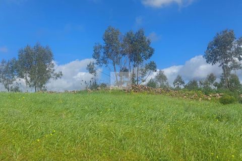 Farm hus i Silves, Faro, Silves - € 500.000 | Ref: 1747 - foto 10