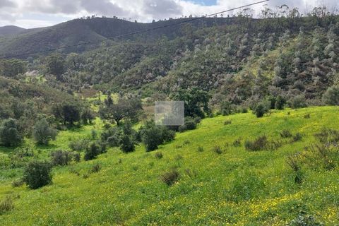 Farm hus i Silves, Faro, Silves - € 500.000 | Ref: 1747 - foto 14