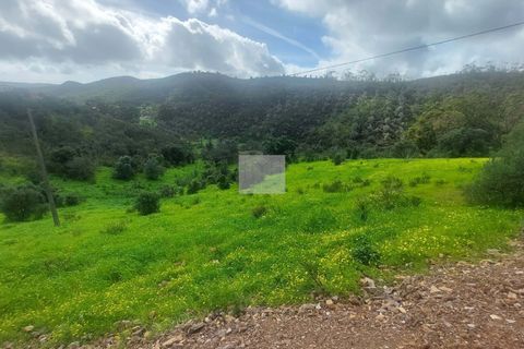 Farm hus i Silves, Faro, Silves - € 500.000 | Ref: 1747 - foto 15