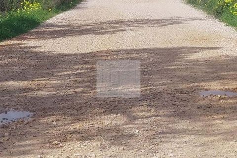 Farm hus i Silves, Faro, Silves - € 500.000 | Ref: 1747 - foto 18