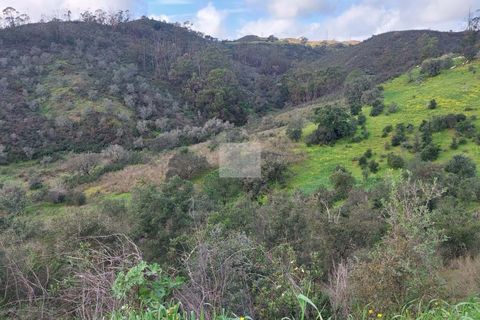 Farm hus i Silves, Faro, Silves - € 500.000 | Ref: 1747 - foto 19
