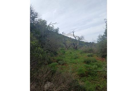 Helårsgrund i Moncarapacho, Faro, Moncarapacho - € 125.000 | Ref: SÒL468 - foto 5