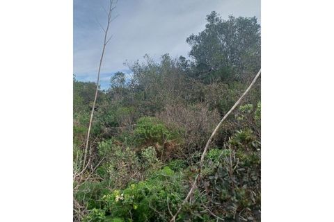 Helårsgrund i Moncarapacho, Faro, Moncarapacho - € 125.000 | Ref: SÒL468 - foto 7