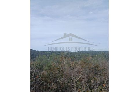 Helårsgrund i Moncarapacho, Faro, Moncarapacho - € 125.000 | Ref: SÒL468 - foto 9