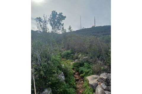 Helårsgrund i Moncarapacho, Faro, Moncarapacho - € 125.000 | Ref: SÒL468 - foto 10
