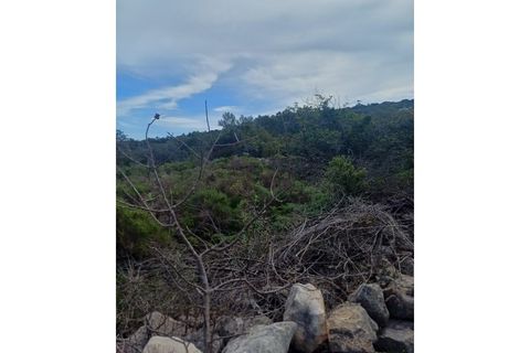 Helårsgrund i Moncarapacho, Faro, Moncarapacho - € 125.000 | Ref: SÒL468 - foto 12
