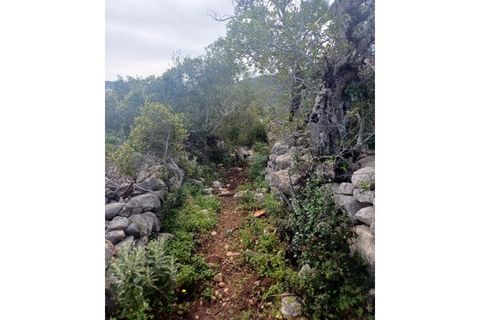 Helårsgrund i Moncarapacho, Faro, Moncarapacho - € 125.000 | Ref: SÒL468 - foto 14