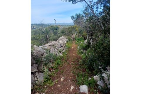 Helårsgrund i Moncarapacho, Faro, Moncarapacho - € 125.000 | Ref: SÒL468 - foto 15