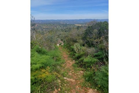 Helårsgrund i Moncarapacho, Faro, Moncarapacho - € 125.000 | Ref: SÒL468 - foto 16