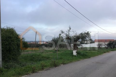 Helårsgrund i Tomar, Santarem, Tomar - € 39.500 | Ref: SAFTI:004639 - foto 4