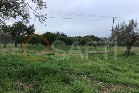 Helårsgrund i Tomar, Santarem, Tomar - € 39.500 | Ref: SAFTI:004639 - foto 8