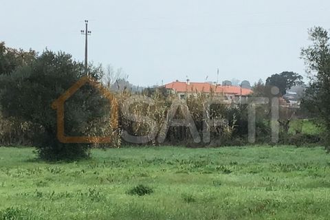 Helårsgrund i Tomar, Santarem, Tomar - € 39.500 | Ref: SAFTI:004639 - foto 9