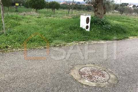 Helårsgrund i Tomar, Santarem, Tomar - € 39.500 | Ref: SAFTI:004639 - foto 10