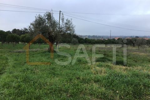 Helårsgrund i Tomar, Santarem, Tomar - € 39.500 | Ref: SAFTI:004639 - foto 11