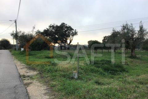 Helårsgrund i Tomar, Santarem, Tomar - € 39.500 | Ref: SAFTI:004639 - foto 12