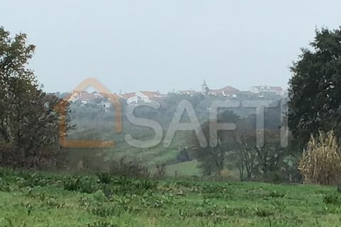 Helårsgrund i Tomar, Santarem, Tomar - € 39.500 | Ref: SAFTI:004639 - foto 13