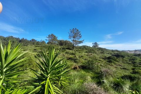 Terra a Ericeira, Lisbon, Ericeira - € 2.995.000 | Ref: TERJL018 - foto 6