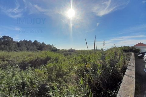 Terra a Ericeira, Lisbon, Ericeira - € 2.995.000 | Ref: TERJL018 - foto 8