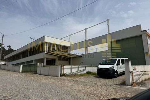 L'establiment comercial a Trofa, Porto, Trofa - € 10.000/mes | Ref: TC1390-2 - foto 3