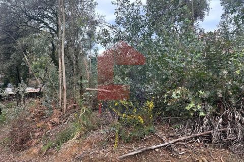 Helårsgrund i Vila Verde, Braga, Vila Verde - € 40.000 | Ref: 08262 - foto 6