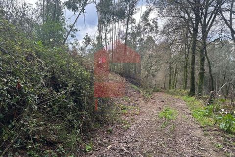Helårsgrund i Vila Verde, Braga, Vila Verde - € 40.000 | Ref: 08262 - foto 15