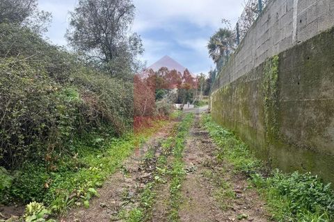 Helårsgrund i Vila Verde, Braga, Vila Verde - € 40.000 | Ref: 08262 - foto 17