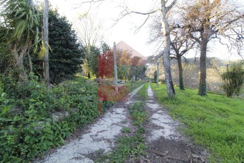 Farm i Vila Verde, Braga, Vila Verde - € 595.000 | Ref: 08266 - foto 49