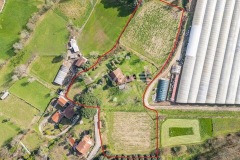Farm i Vila Verde, Braga, Vila Verde - € 230.000 | Ref: 01-3361 - foto 2