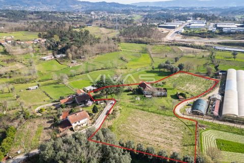 Farm i Vila Verde, Braga, Vila Verde - € 230.000 | Ref: 01-3361 - foto 3