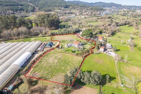 Farm i Vila Verde, Braga, Vila Verde - € 230.000 | Ref: 01-3361 - foto 4