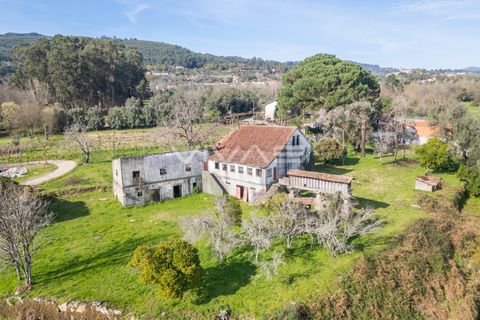Farm i Vila Verde, Braga, Vila Verde - € 230.000 | Ref: 01-3361 - foto 5