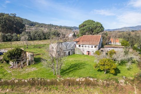 Farm i Vila Verde, Braga, Vila Verde - € 230.000 | Ref: 01-3361 - foto 6