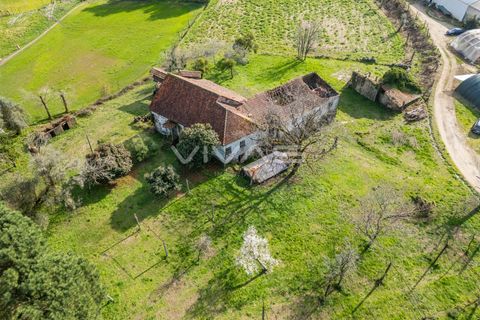 Farm i Vila Verde, Braga, Vila Verde - € 230.000 | Ref: 01-3361 - foto 8