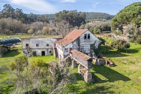 Farm i Vila Verde, Braga, Vila Verde - € 230.000 | Ref: 01-3361 - foto 9