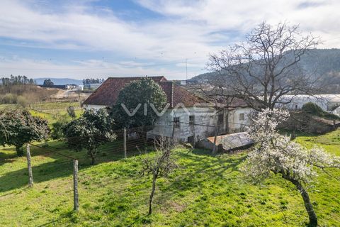 Farm i Vila Verde, Braga, Vila Verde - € 230.000 | Ref: 01-3361 - foto 10