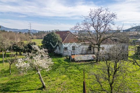 Farm i Vila Verde, Braga, Vila Verde - € 230.000 | Ref: 01-3361 - foto 11