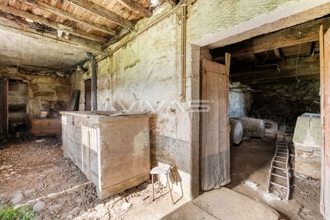 Farm i Vila Verde, Braga, Vila Verde - € 230.000 | Ref: 01-3361 - foto 12