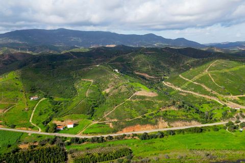 Farm hus i Monchique, Faro, Monchique - € 930.000 | Ref: NF015 AL - foto 5