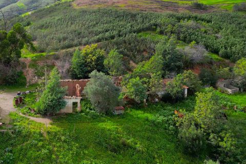 Farm hus i Monchique, Faro, Monchique - € 930.000 | Ref: NF015 AL - foto 6