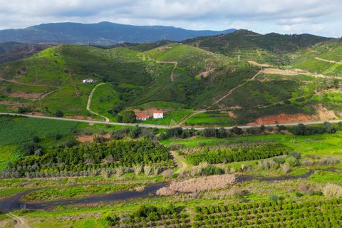 Farm hus i Monchique, Faro, Monchique - € 930.000 | Ref: NF015 AL - foto 3