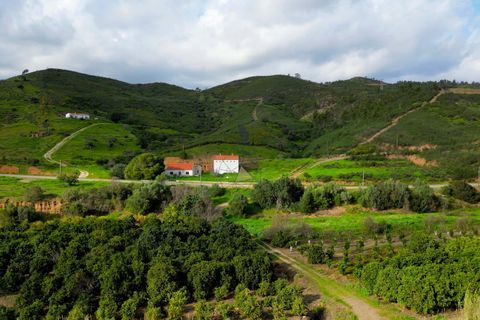 Farm hus i Monchique, Faro, Monchique - € 930.000 | Ref: NF015 AL - foto 8