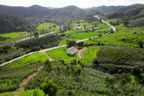 Farm hus i Monchique, Faro, Monchique - € 930.000 | Ref: NF015 AL - foto 9