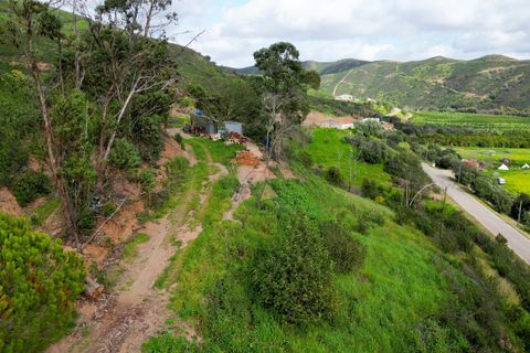 Farm hus i Monchique, Faro, Monchique - € 930.000 | Ref: NF015 AL - foto 10
