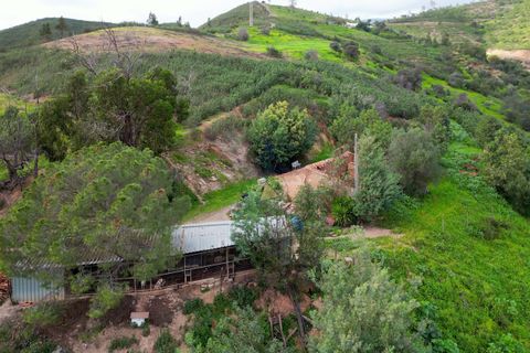 Farm hus i Monchique, Faro, Monchique - € 930.000 | Ref: NF015 AL - foto 11