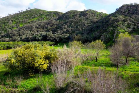 Farm hus i Monchique, Faro, Monchique - € 930.000 | Ref: NF015 AL - foto 13