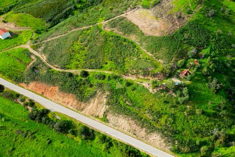 Farm hus i Monchique, Faro, Monchique - € 930.000 | Ref: NF015 AL - foto 17