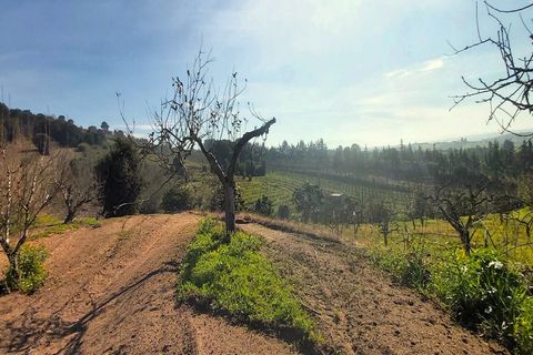 Helårsgrund i Bombarral, Leiria, Bombarral - € 125.000 | Ref: 3133-TUPG - foto 1