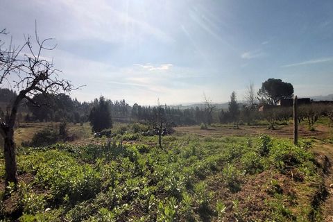 Helårsgrund i Bombarral, Leiria, Bombarral - € 125.000 | Ref: 3133-TUPG - foto 2